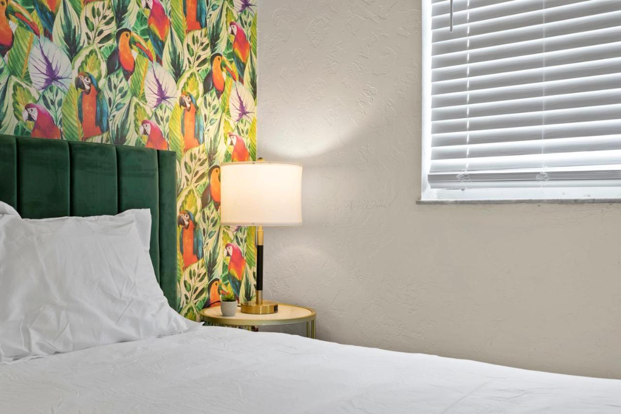Bayside Safari 1Bed 1 Bath Apartment Tampa Zewnętrze zdjęcie